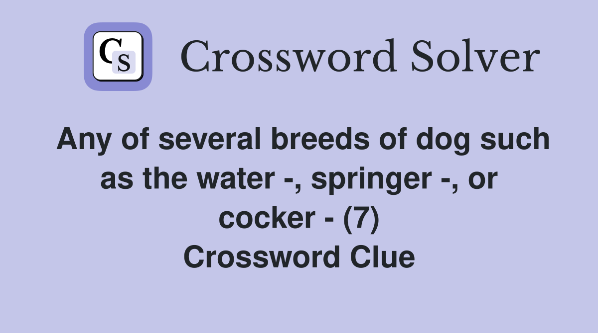 Any of several breeds of dog such as the water , springer , or cocker